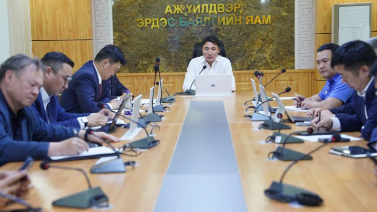 ТАТВАРЫН ӨРТЭЙ ШАТАХУУН ИМПОРТЛОГЧ ААН-ҮҮДИЙН ДАНСЫГ БИТҮҮМЖЛЭХГҮЙ